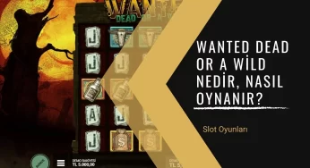 Wanted Dead Or A Wild